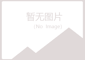 鹤岗兴山苍白金属有限公司